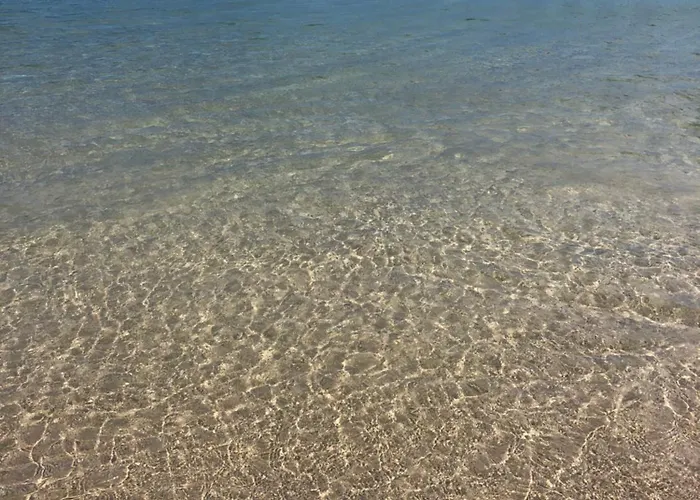 Tatil Evi O Lar Da *