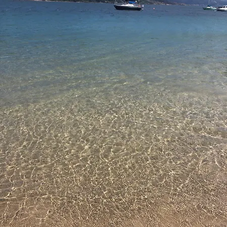 بيت للعطل O Lar Da *